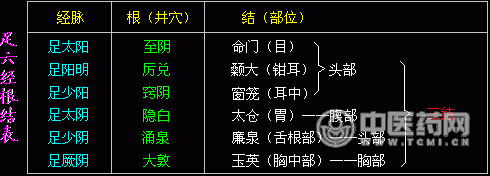 经络的根结、标本与气街、四海