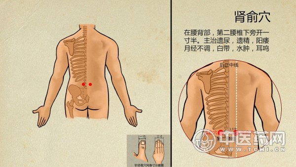 高脂肪饮食会加重肾损伤吗？高脂饮食为什么会导致肾脏损害？