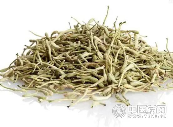 喝金银花茶会拉肚子吗 性寒 刺激肠胃 忌过量